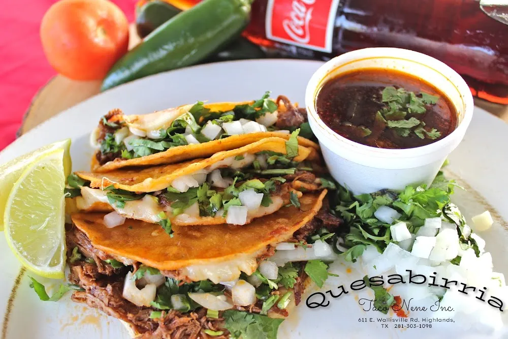 3 Quesa-Birria